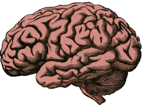 Read more about the article Exposing the Human Body: The Amazing Universe of 37.2 Trillion Cells
